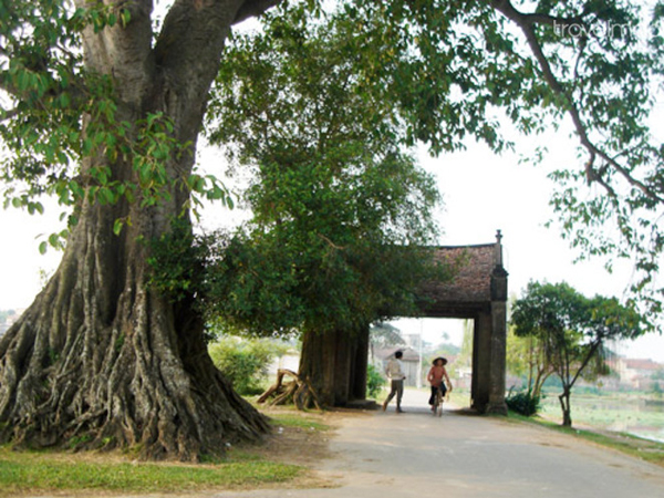 Duong Lam Ancient Village Tour